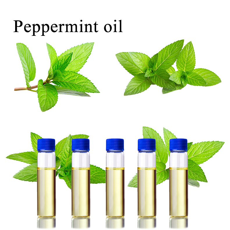 6椒样薄荷油.png
