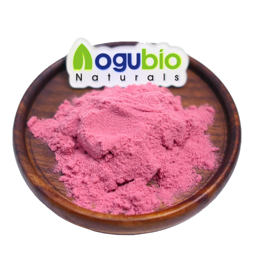 Порошок экстракта Aronia Melanocarpa