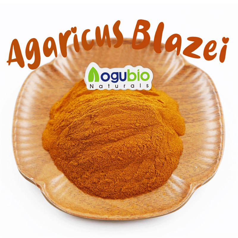 Органический порошок Agaricus Blazei без ГМО, без глютена