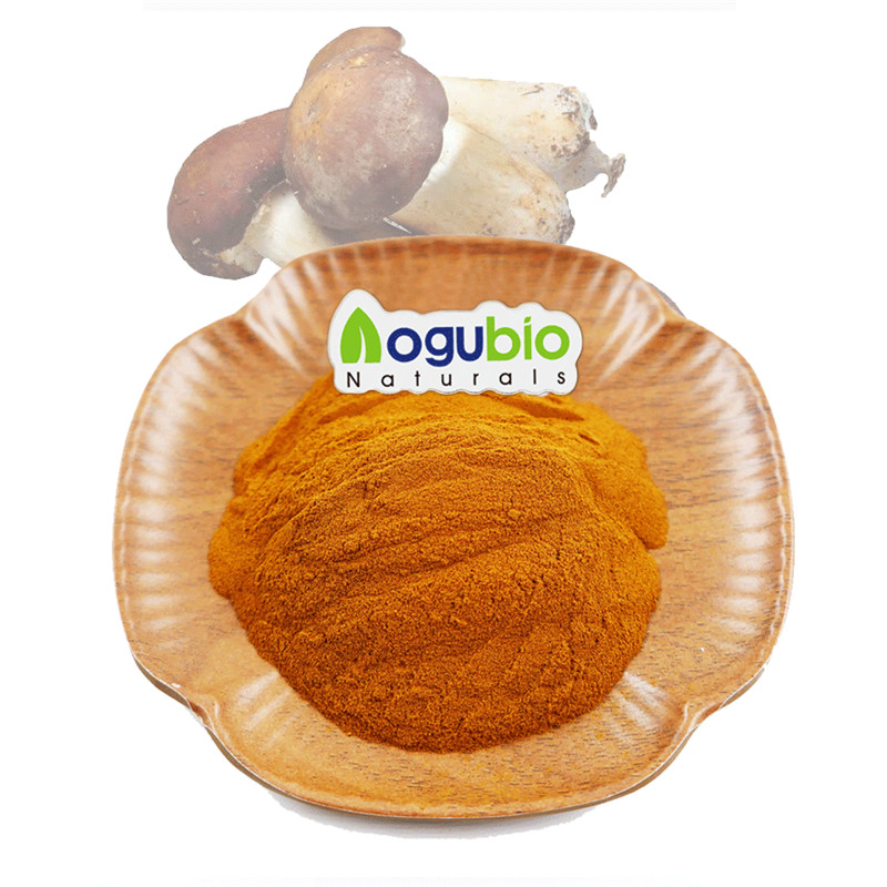 Органический порошок Agaricus blazei Без ГМО, без глютена
