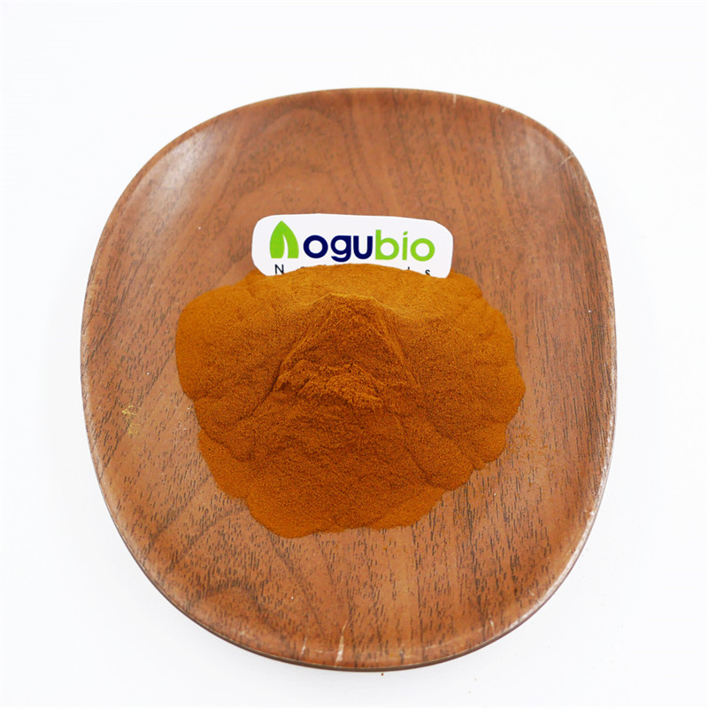 Органический экстракт Pleurotus 30% порошок