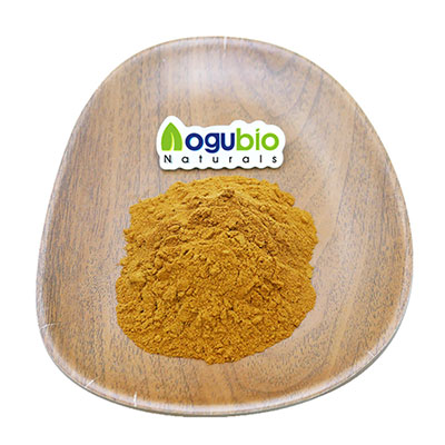 Поставка на заводе Common Cnidium Monnieri Fruit Extract