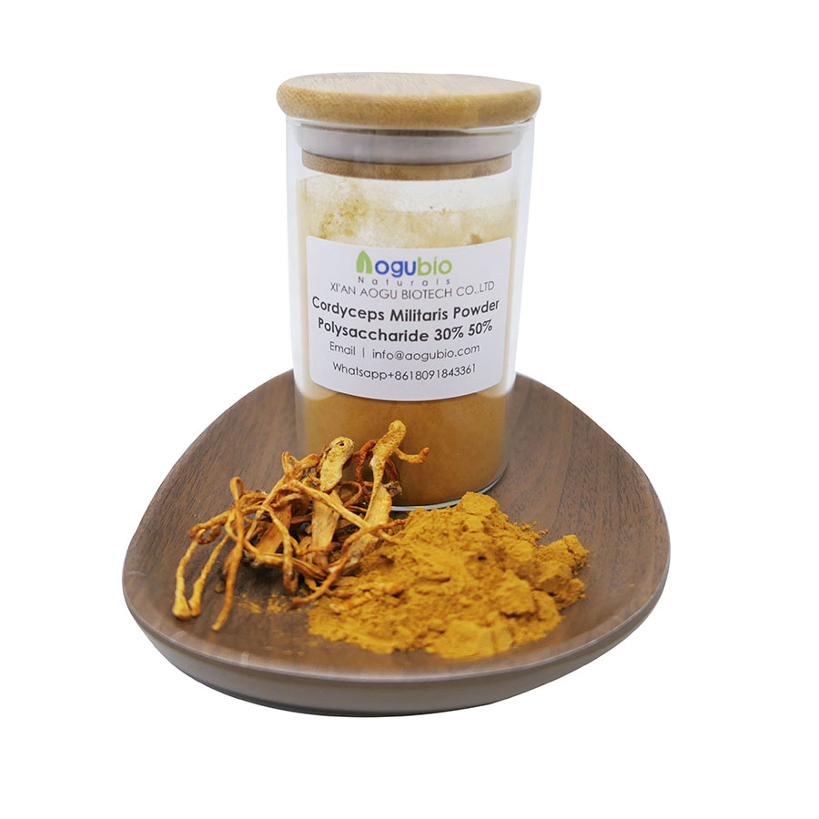 Добавка для здоровья Cordyceps Militaris Extract порошок